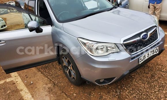 Buy Used Subaru Forester Other Car in Bombo in Central