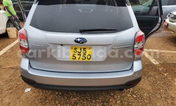 Acheter Occasion Voiture Subaru Forester Autre à Bombo, Central Acheter Occasion Voiture Subaru Forester Autre à Bombo, Central