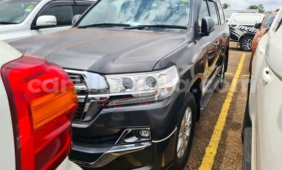 Buy Used Toyota Land Cruiser Beige Car in Kampala in Uganda