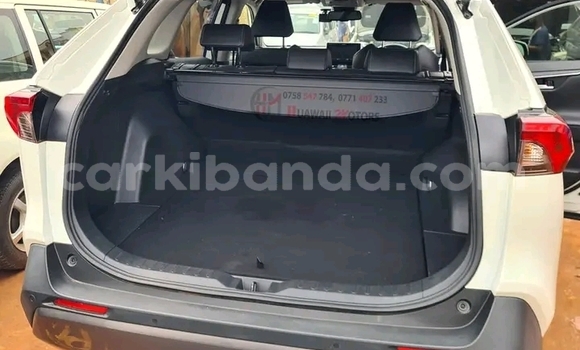 Nunua Ilio tumika Toyota RAV4 Nyeupe Gari ndani ya Kampala nchini Uganda Nunua Ilio tumika Toyota RAV4 Nyeupe Gari ndani ya Kampala nchini Uganda