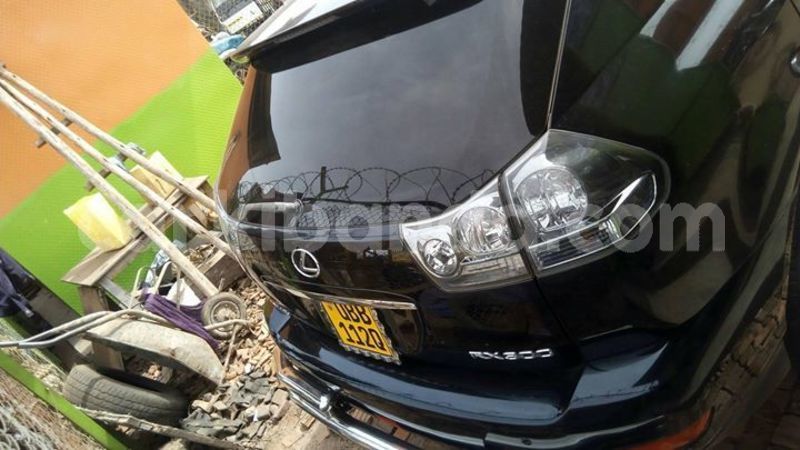 Big with watermark 47317607 305685210276493 127028279164010496 o