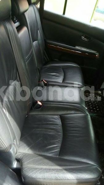 Big with watermark 47298317 305685326943148 7018360626229542912 n