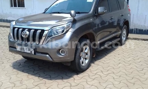 Acheter Occasion Voiture Toyota Prado Autre à Amudat, Nord