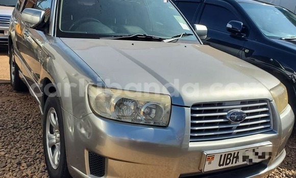 Acheter Occasion Voiture Subaru Forester Autre à Bombo, Central Acheter Occasion Voiture Subaru Forester Autre à Bombo, Central