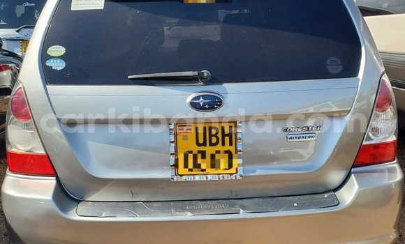 Acheter Occasion Voiture Subaru Forester Autre à Bombo, Central Acheter Occasion Voiture Subaru Forester Autre à Bombo, Central