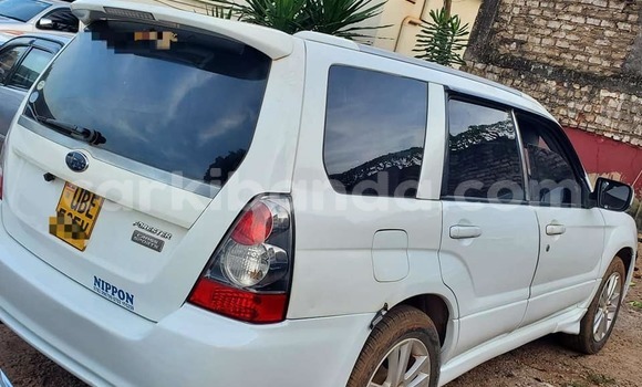Acheter Occasion Voiture Suzuki Ignis Blanc à Bombo, Central Acheter Occasion Voiture Suzuki Ignis Blanc à Bombo, Central