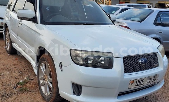 Acheter Occasion Voiture Suzuki Ignis Blanc à Bombo, Central Acheter Occasion Voiture Suzuki Ignis Blanc à Bombo, Central