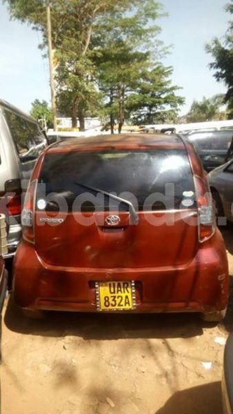 Big with watermark 47048755 305108117000869 5411356611945955328 n