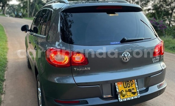 Buy Used Volkswagen Tiguan Green Car in Kampala in Uganda Buy Used Volkswagen Tiguan Green Car in Kampala in Uganda