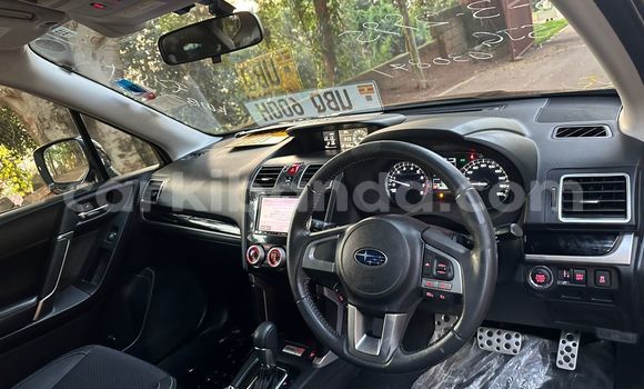 Buy New Subaru Forester Black Car in Kampala in Uganda Buy New Subaru Forester Black Car in Kampala in Uganda