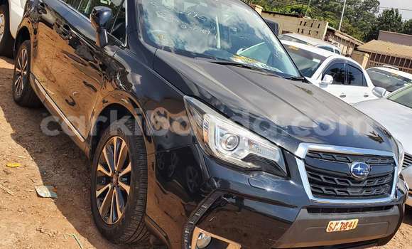 Buy New Subaru Forester Black Car in Kampala in Uganda Buy New Subaru Forester Black Car in Kampala in Uganda