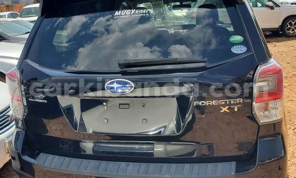 Buy New Subaru Forester Black Car in Kampala in Uganda Buy New Subaru Forester Black Car in Kampala in Uganda
