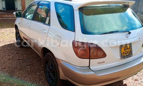 Buy Used Toyota Harrier Other Car in Jinja in Uganda Buy Used Toyota Harrier Other Car in Jinja in Uganda