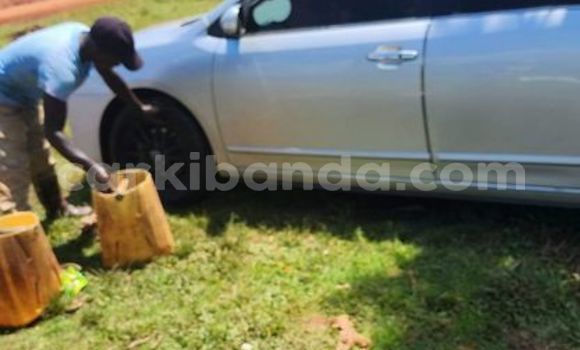 Acheter Occasion Voiture Acura Integra Autre à Kampala, Ouganda Acheter Occasion Voiture Acura Integra Autre à Kampala, Ouganda