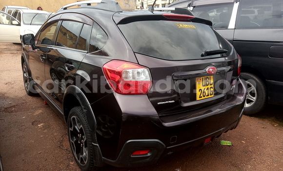 Buy Used Subaru XV Brown Car in Kampala in Uganda Buy Used Subaru XV Brown Car in Kampala in Uganda