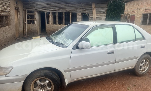 Acheter Occasion Voiture Toyota Premio Gris à Mbarara, Ouganda
