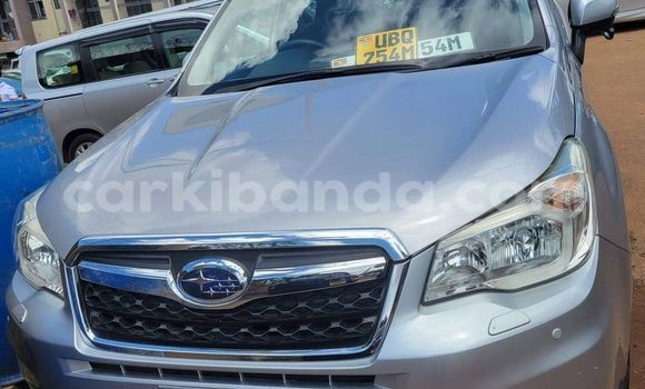 Buy Used Subaru Forester Other Car in Kampala in Uganda