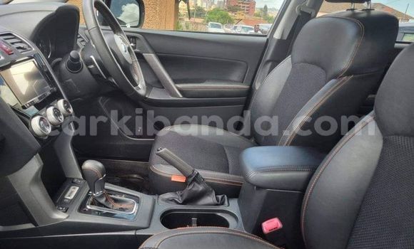 Acheter Occasion Voiture Subaru Forester Autre à Kampala, Ouganda Acheter Occasion Voiture Subaru Forester Autre à Kampala, Ouganda