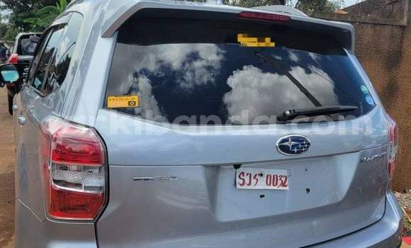 Acheter Occasion Voiture Subaru Forester Autre à Kampala, Ouganda Acheter Occasion Voiture Subaru Forester Autre à Kampala, Ouganda