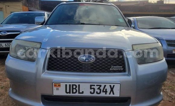 Acheter Occasion Voiture Subaru Forester Autre à Kampala, Ouganda Acheter Occasion Voiture Subaru Forester Autre à Kampala, Ouganda