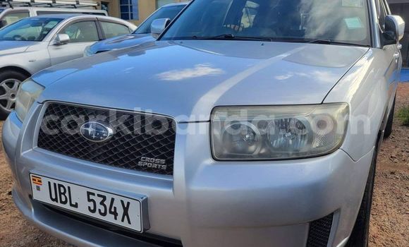 Acheter Occasion Voiture Subaru Forester Autre à Kampala, Ouganda Acheter Occasion Voiture Subaru Forester Autre à Kampala, Ouganda