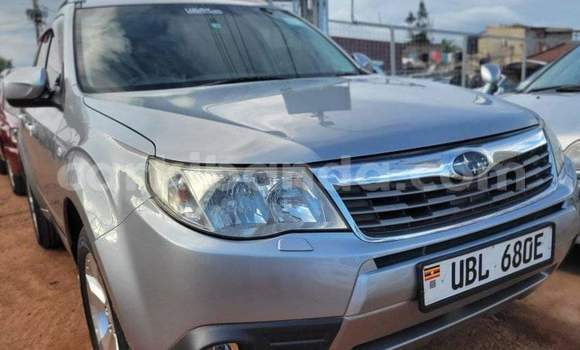 Acheter Occasion Voiture Subaru Forester Autre à Kamuli, Est Acheter Occasion Voiture Subaru Forester Autre à Kamuli, Est