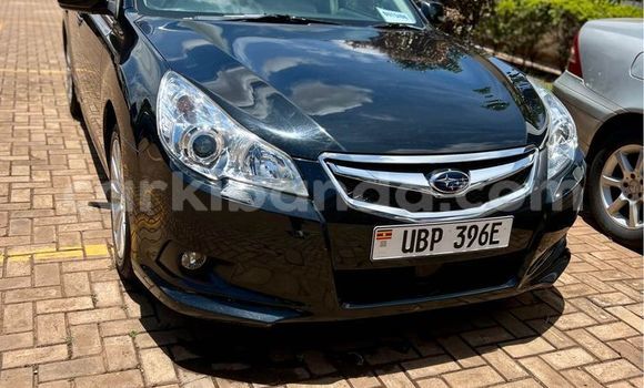 Buy Used Subaru Baja Other Car in Arua in Uganda