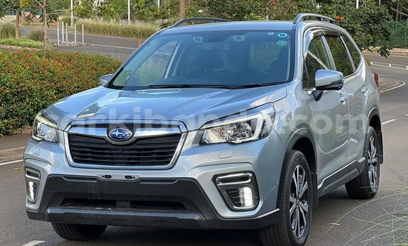 Buy Used Subaru Forester Other Car in Bugembe in Eastern Buy Used Subaru Forester Other Car in Bugembe in Eastern