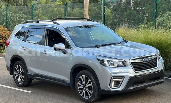 Buy Used Subaru Forester Other Car in Bugembe in Eastern Buy Used Subaru Forester Other Car in Bugembe in Eastern