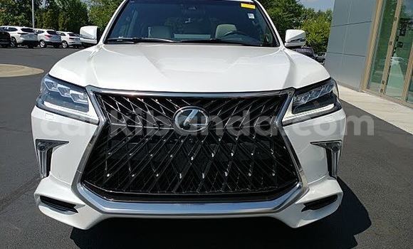 Acheter Import Voiture Lexus LX 570 Blanc à Bugembe, Est Acheter Import Voiture Lexus LX 570 Blanc à Bugembe, Est