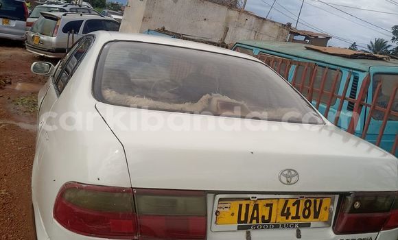 Buy Used Acura CSX Other Car in Arua in Uganda