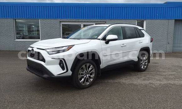 Buy Used Toyota RAV4 Other Car in Kampala in Uganda