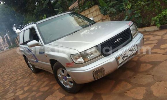 Gura Yakoze Subaru Forester Silver Imodoka i Kampala mu Uganda Gura Yakoze Subaru Forester Silver Imodoka i Kampala mu Uganda