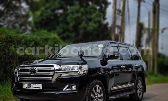 Buy Used Toyota RAV4 Black Car in Arua in Uganda Buy Used Toyota RAV4 Black Car in Arua in Uganda