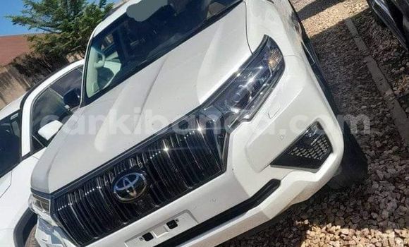 Buy Used Toyota Land Cruiser Prado White Car in Apac in Northern