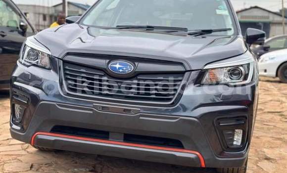 Nunua Ilio tumika Subaru Ascent Nyingine Gari ndani ya Arua nchini Uganda