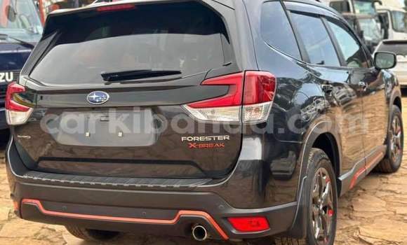 Buy Used Subaru Ascent Other Car in Arua in Uganda Buy Used Subaru Ascent Other Car in Arua in Uganda