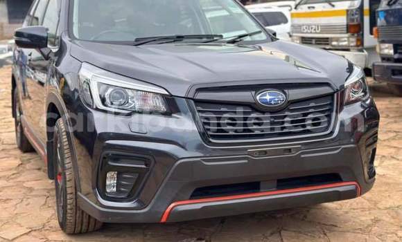 Buy Used Subaru Ascent Other Car in Arua in Uganda Buy Used Subaru Ascent Other Car in Arua in Uganda