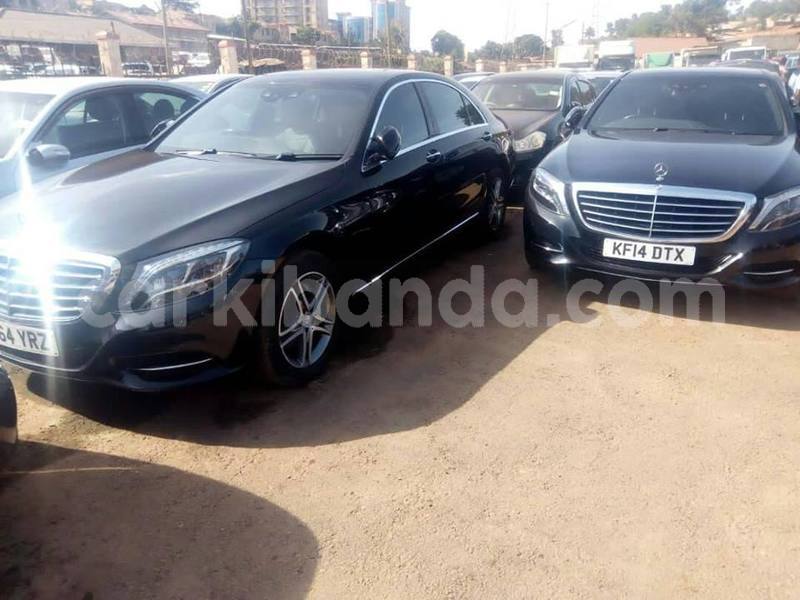 Big with watermark 47191706 154275235534378 7666365771223662592 n