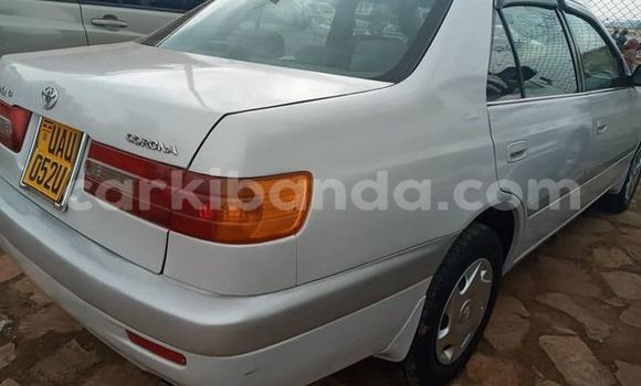 Gura Yakoze Toyota Premio Other Imodoka i Kampala mu Uganda Gura Yakoze Toyota Premio Other Imodoka i Kampala mu Uganda