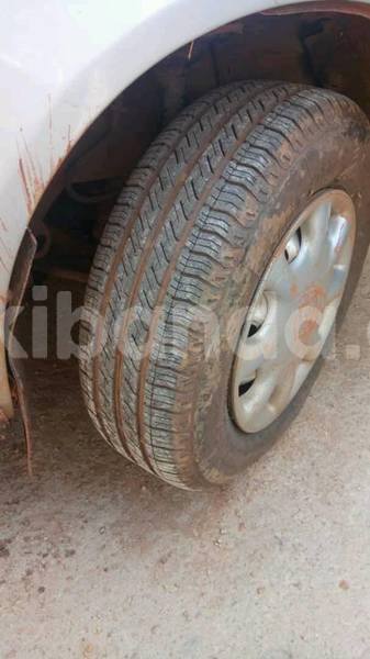 Big with watermark 47502918 1118512564966845 7691652782020886528 n