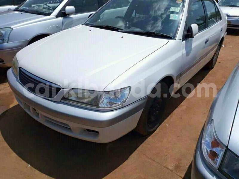 Big with watermark 47362159 743270469373558 5911735291365818368 n