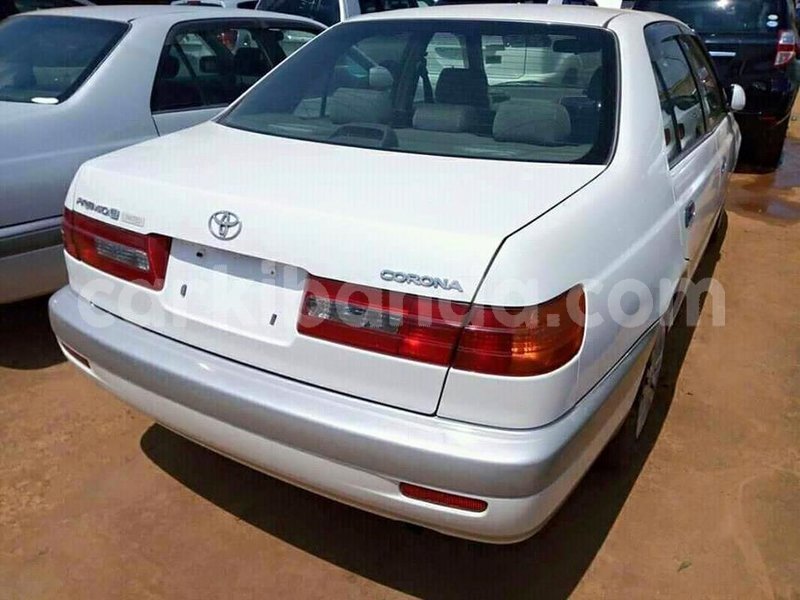 Big with watermark 47421750 743270476040224 2460460612098981888 n