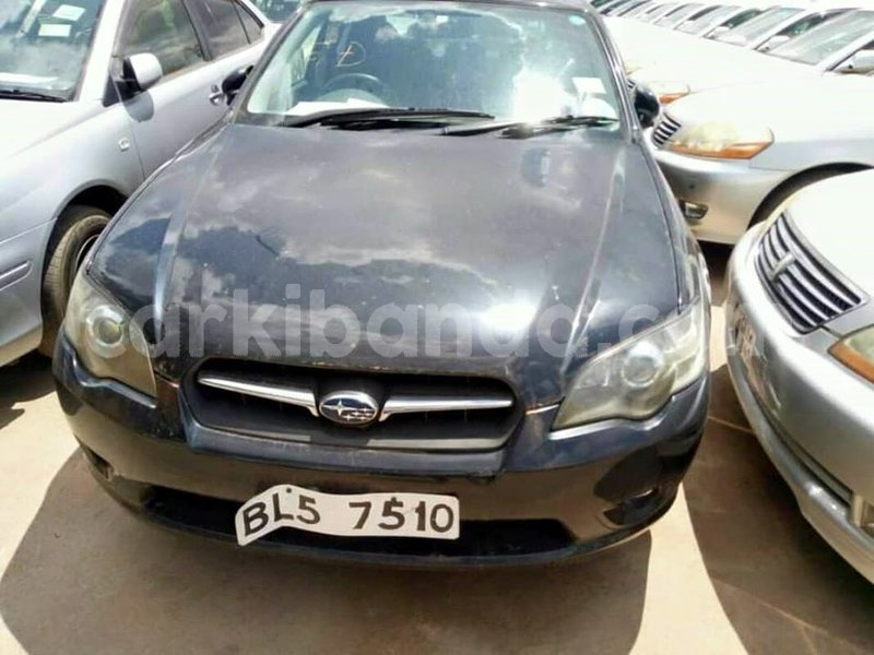 Big with watermark 47490302 743268572707081 6010106337550139392 n