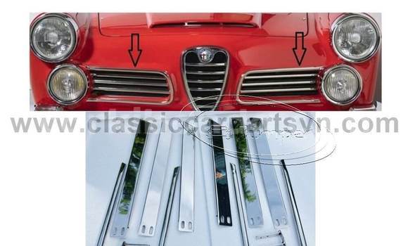 Acheter Alfa Romeo side grill à Bombo, Central Acheter Alfa Romeo side grill à Bombo, Central