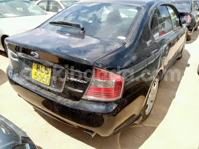 Big with watermark 47306751 743268586040413 4305883427829186560 n