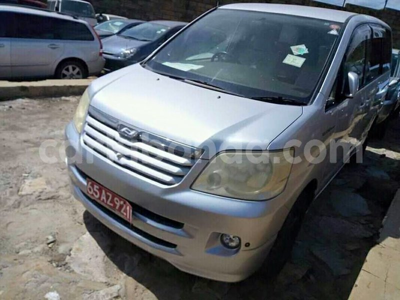 Big with watermark 47396423 743268006040471 2535992911988785152 n