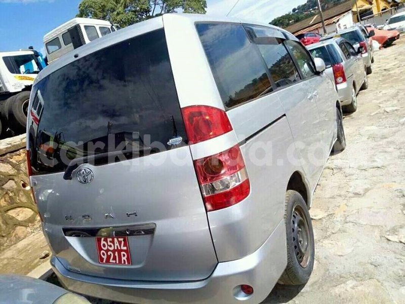 Big with watermark 47159355 743268016040470 5517936272640835584 n