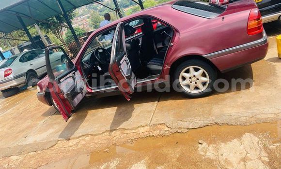 Buy Used Mercedes-Benz C-Classe Red Car in Bugembe in Eastern