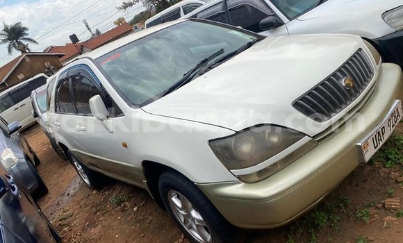 Buy Used Toyota Harrier White Car in Bombo in Central